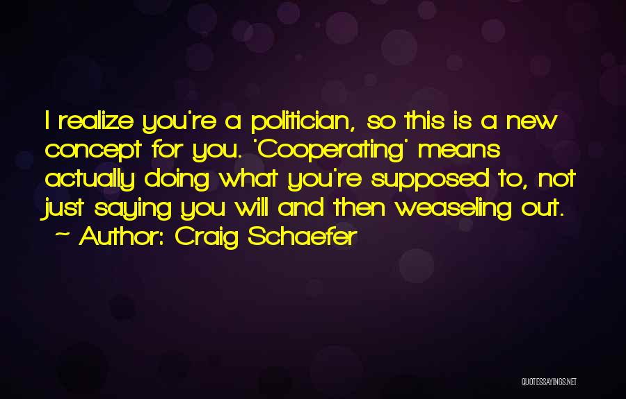 Not Cooperating Quotes By Craig Schaefer