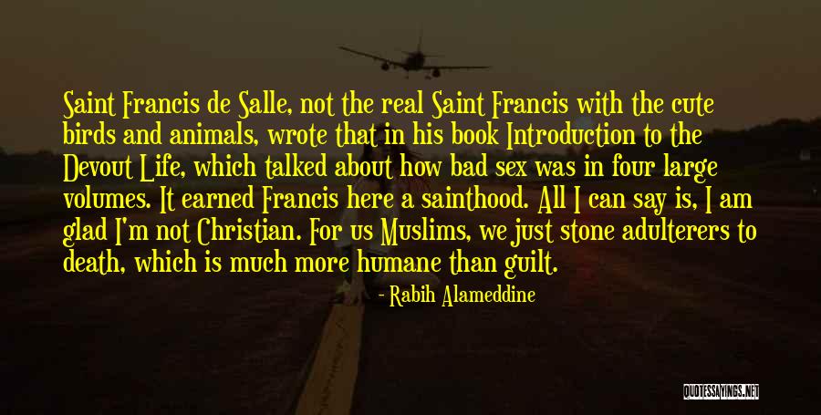 Not Cute Quotes By Rabih Alameddine Not Cute Quotes By Rabih Alameddine