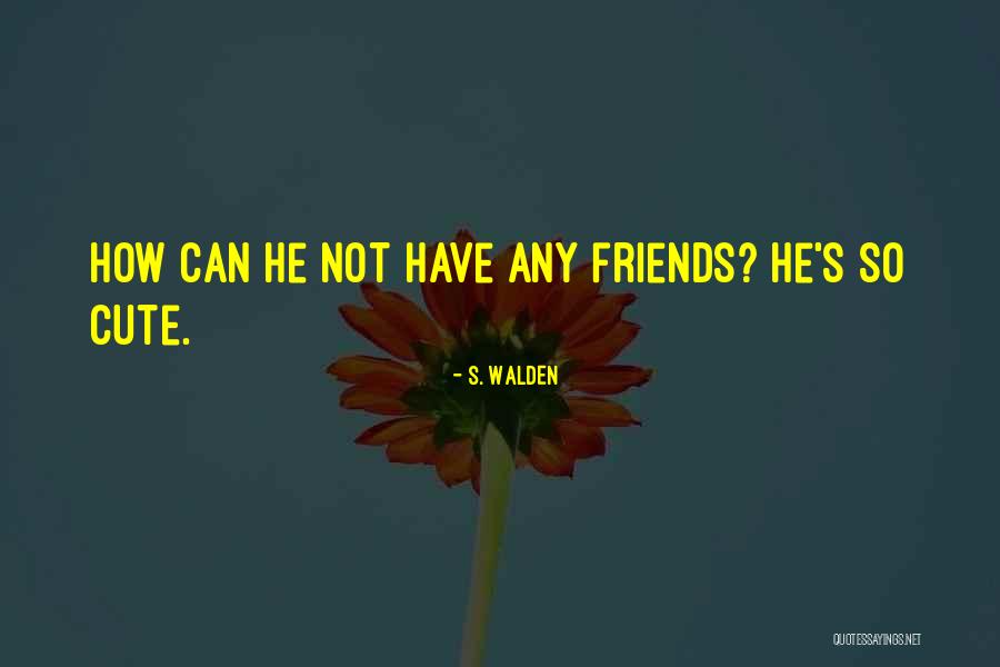 Not Cute Quotes By S. Walden