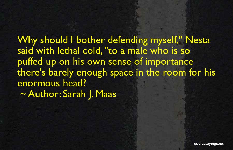 Not Defending Yourself Quotes By Sarah J. Maas