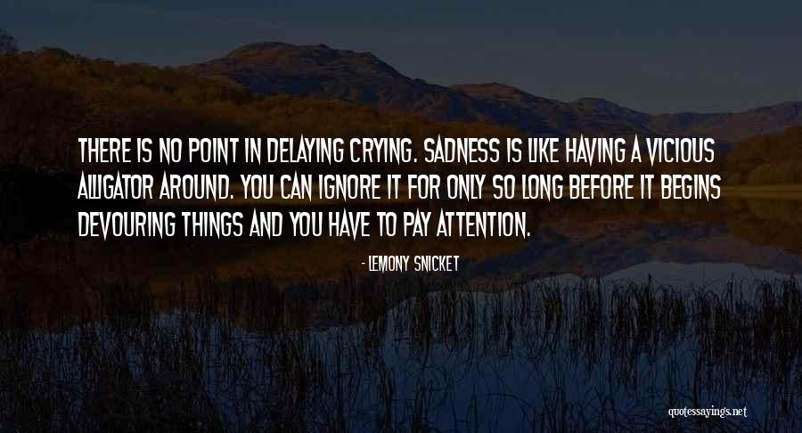 Not Delaying Quotes By Lemony Snicket Not Delaying Quotes By Lemony Snicket
