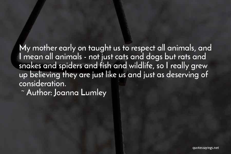 Not Deserving Respect Quotes By Joanna Lumley