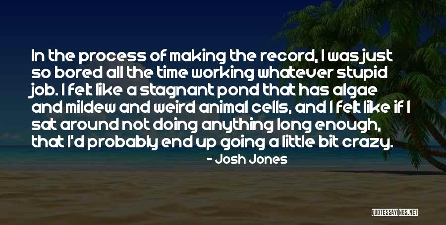 Not Doing Enough Quotes By Josh Jones