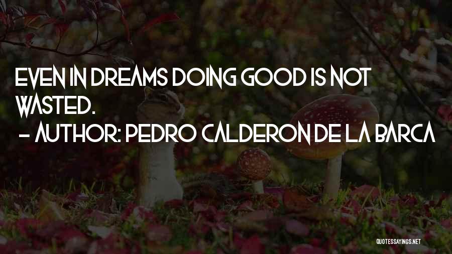 Not Doing Good Quotes By Pedro Calderon De La Barca