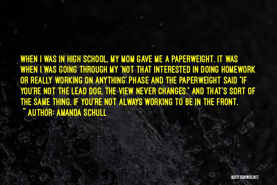 Not Doing Homework Quotes By Amanda Schull