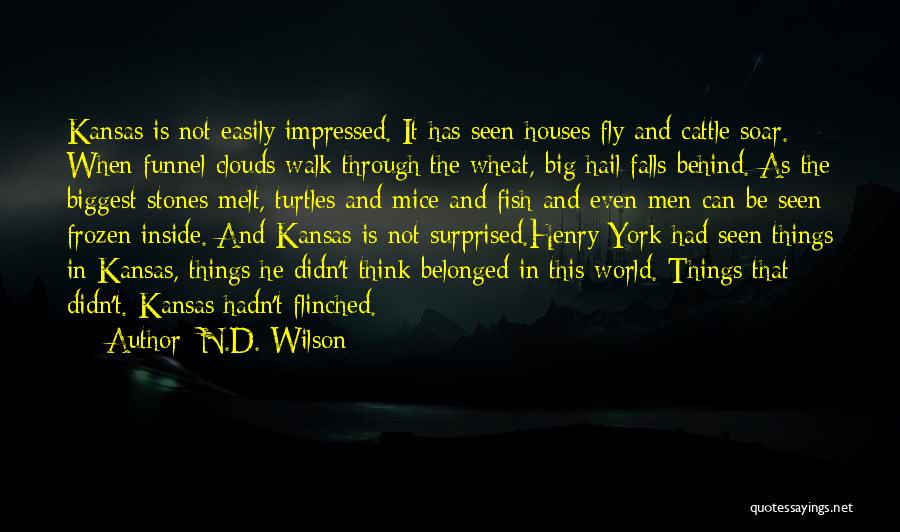 Not Easily Impressed Quotes By N.D. Wilson