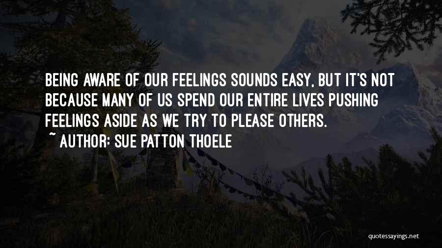 Not Easy To Please Quotes By Sue Patton Thoele