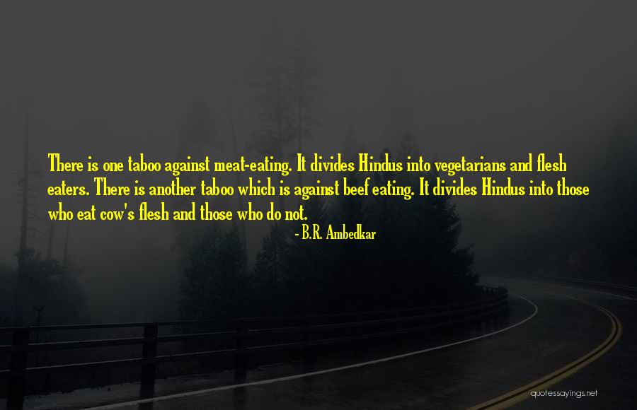 Not Eating Meat Quotes By B.R. Ambedkar