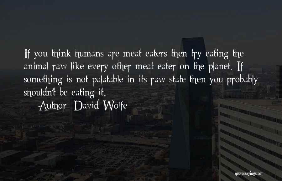 Not Eating Meat Quotes By David Wolfe