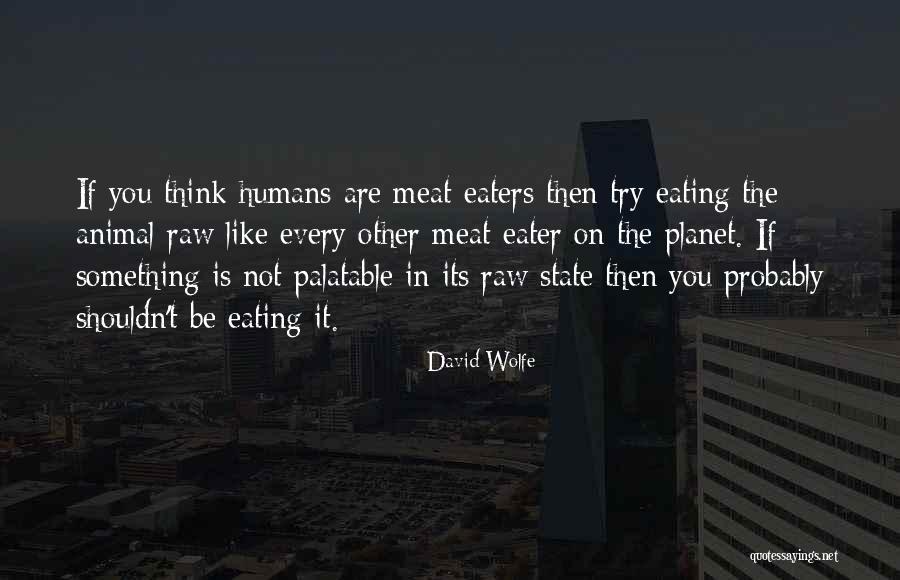 Not Eating Meat Quotes By David Wolfe