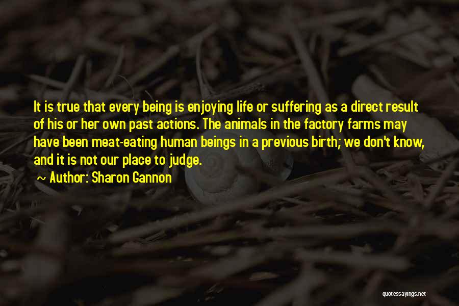 Not Eating Meat Quotes By Sharon Gannon