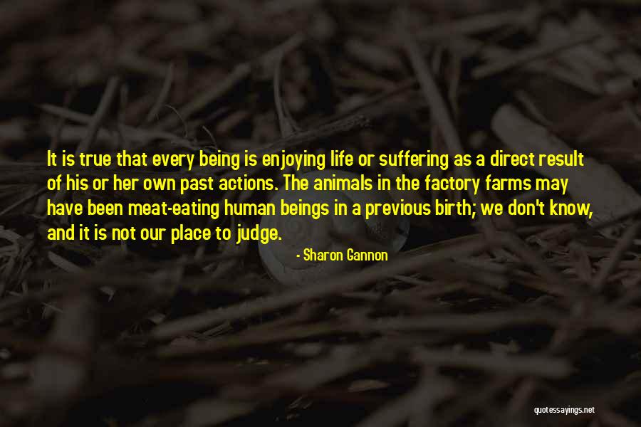 Not Eating Meat Quotes By Sharon Gannon Not Eating Meat Quotes By Sharon Gannon