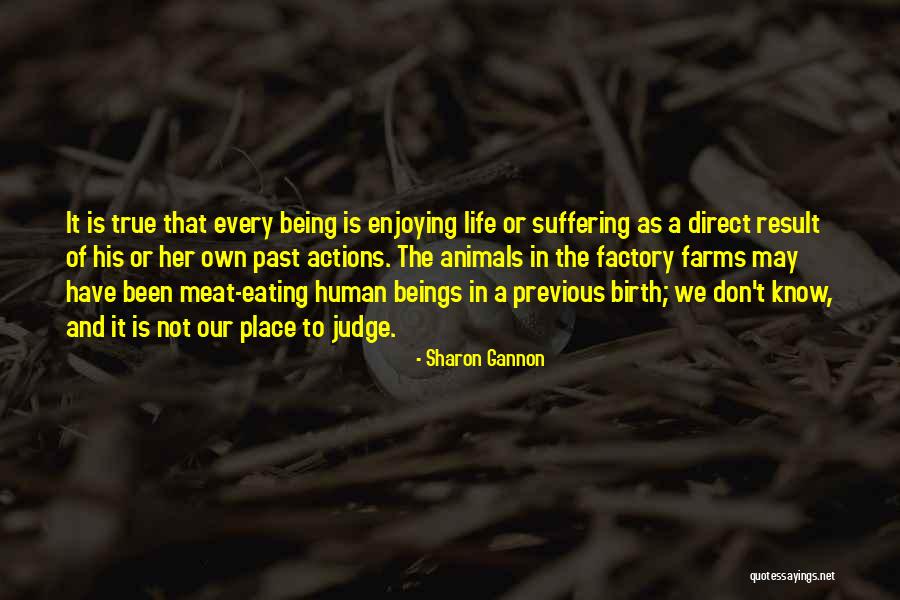 Not Eating Meat Quotes By Sharon Gannon