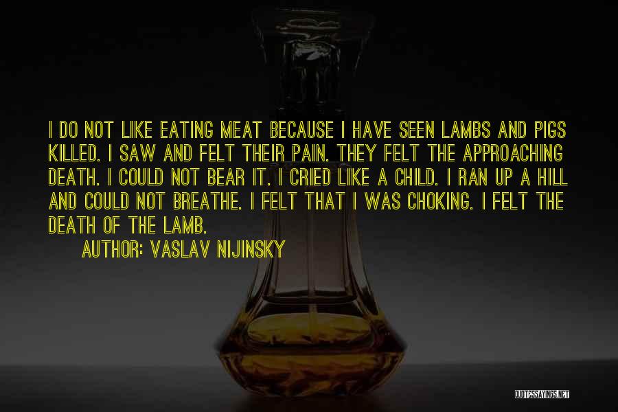 Not Eating Meat Quotes By Vaslav Nijinsky