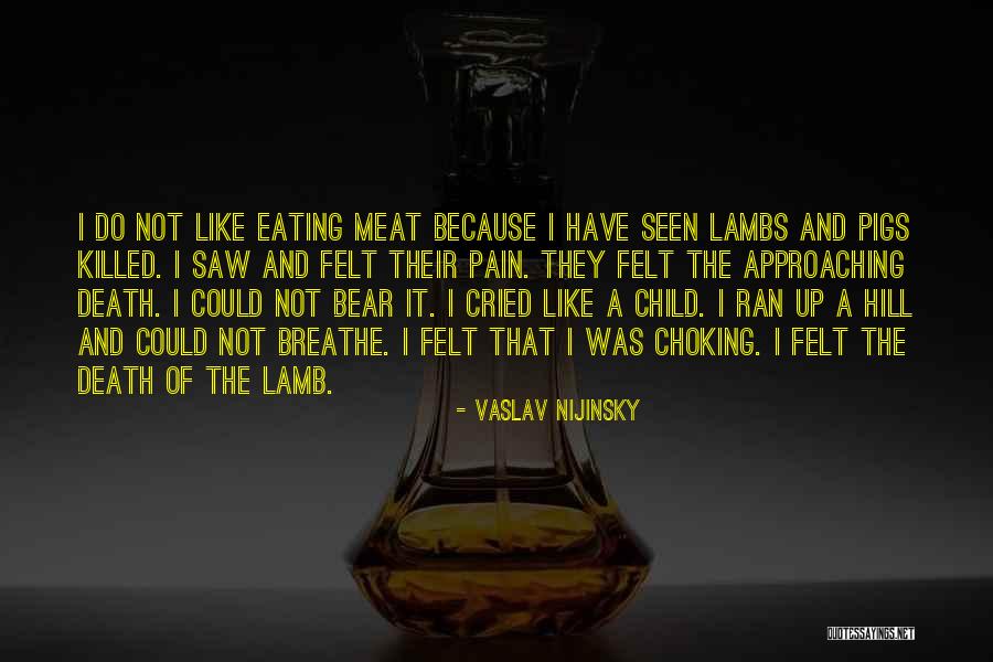 Not Eating Meat Quotes By Vaslav Nijinsky Not Eating Meat Quotes By Vaslav Nijinsky