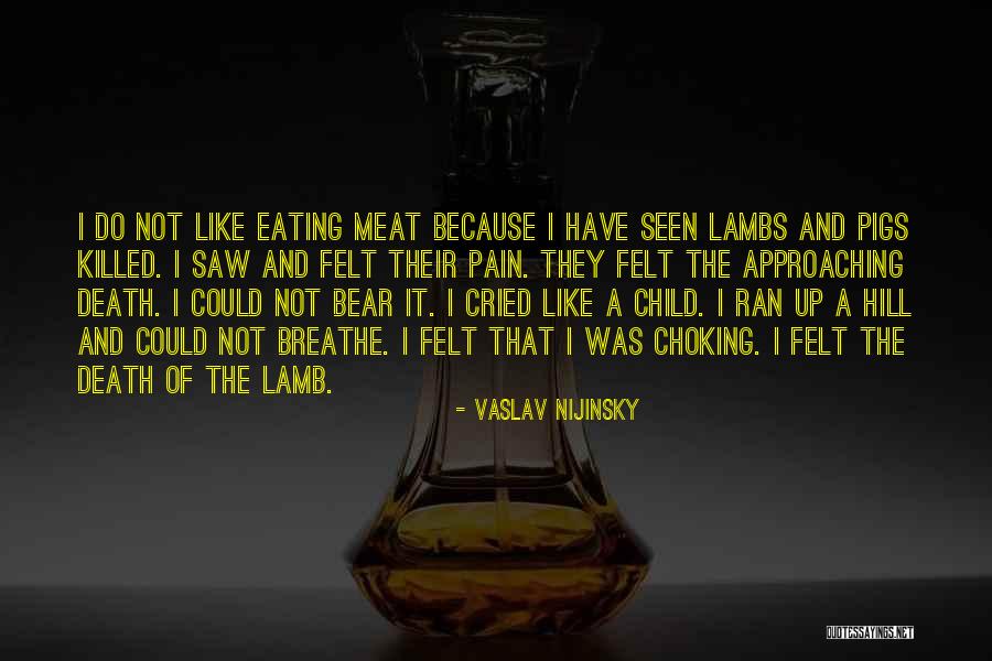 Not Eating Meat Quotes By Vaslav Nijinsky