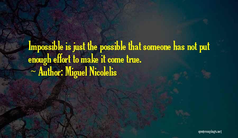 Not Enough Effort Quotes By Miguel Nicolelis