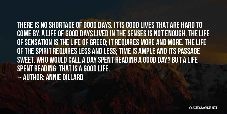 Not Enough Time In The Day Quotes By Annie Dillard