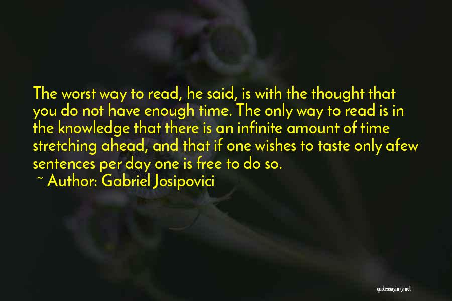 Not Enough Time In The Day Quotes By Gabriel Josipovici