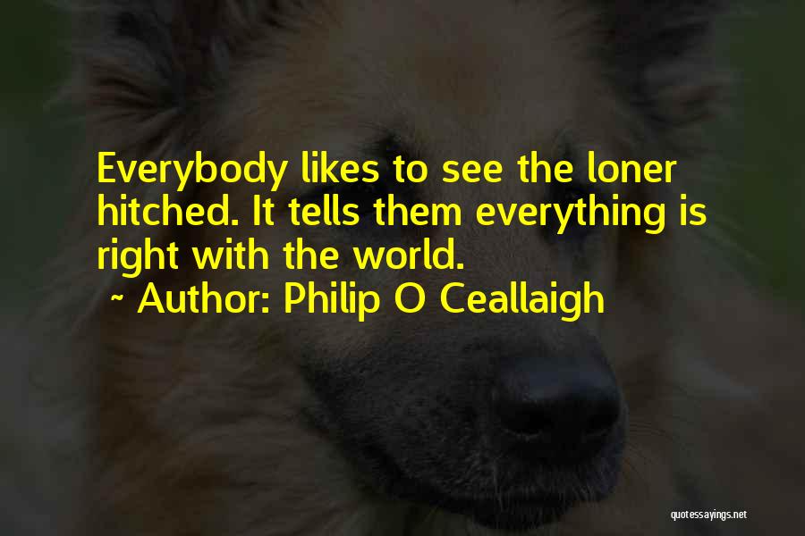 Not Everybody Likes Us Quotes By Philip O Ceallaigh