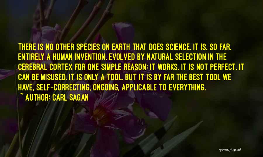 Not Everything Can Be Perfect Quotes By Carl Sagan