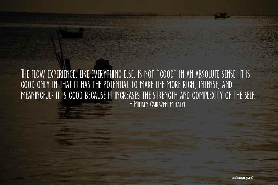 Not Everything Has To Make Sense Quotes By Mihaly Csikszentmihalyi Not Everything Has To Make Sense Quotes By Mihaly Csikszentmihalyi