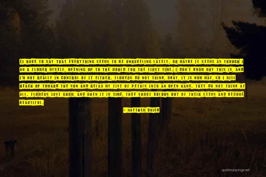 Not Everything Is As It Seems Quotes By Matthew Quick Not Everything Is As It Seems Quotes By Matthew Quick