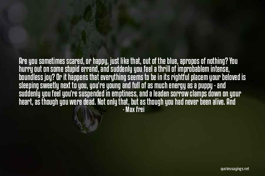 Not Everything Is As It Seems Quotes By Max Frei Not Everything Is As It Seems Quotes By Max Frei