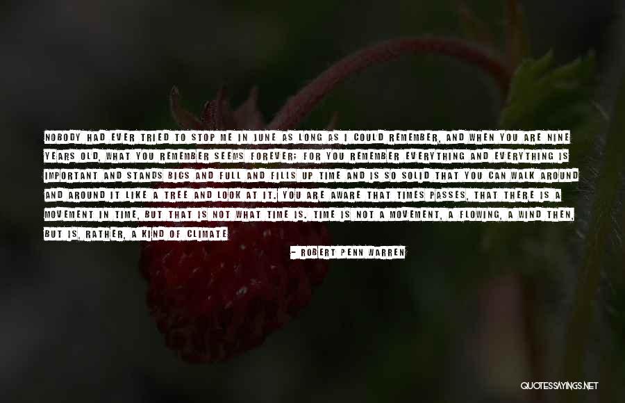 Not Everything Is As It Seems Quotes By Robert Penn Warren