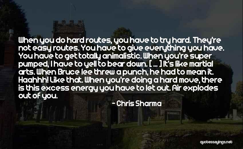 Not Everything Is Easy Quotes By Chris Sharma