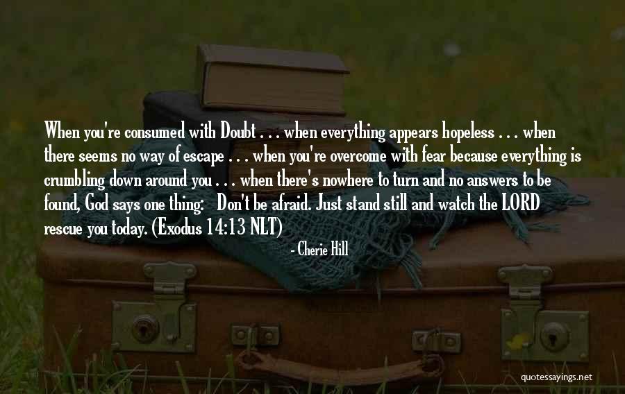 Not Everything Is What It Appears To Be Quotes By Cherie Hill Not Everything Is What It Appears To Be Quotes By Cherie Hill