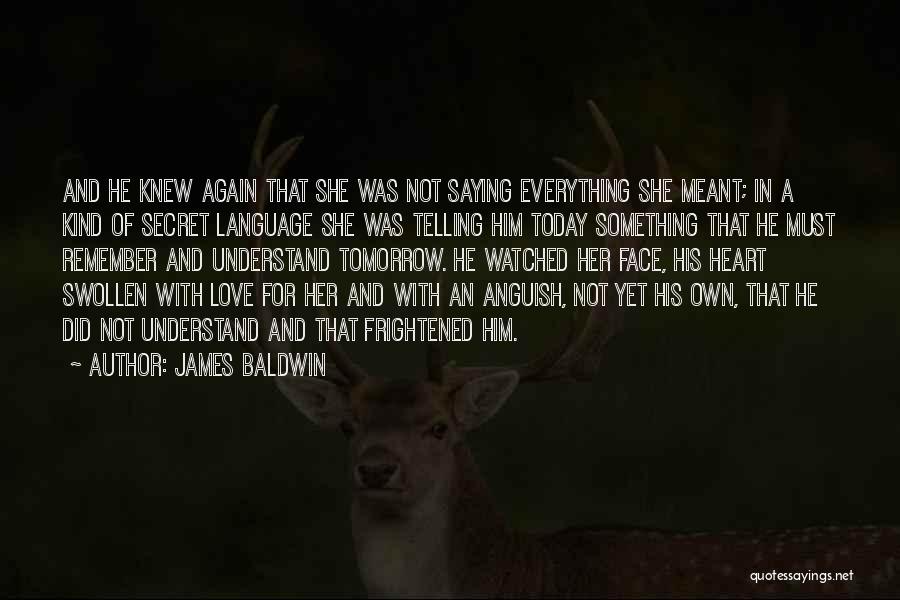Not Everything Meant Quotes By James Baldwin