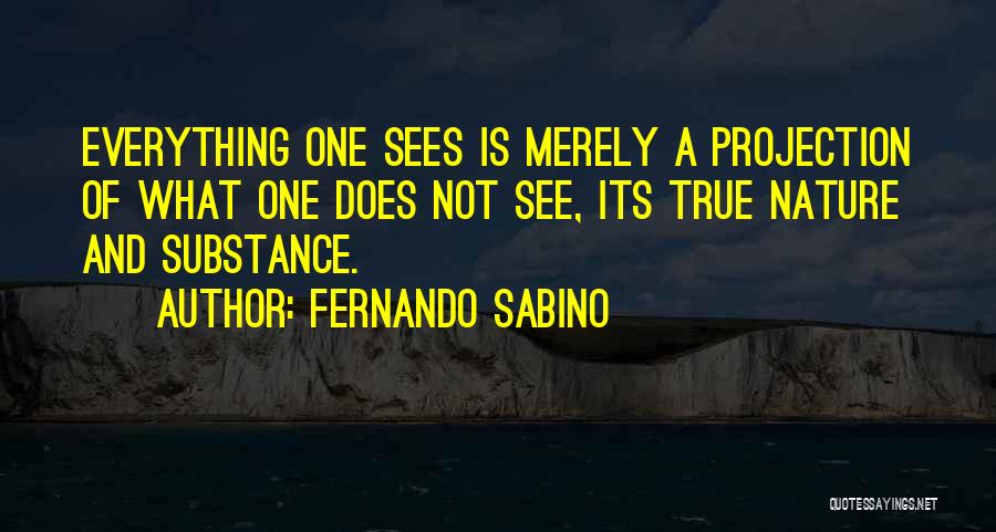 Not Everything You See Is True Quotes By Fernando Sabino