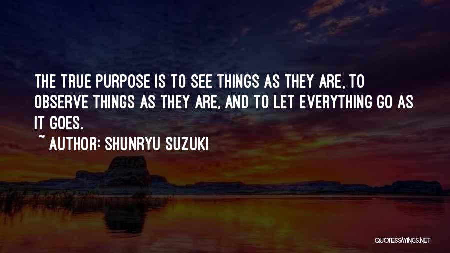 Not Everything You See Is True Quotes By Shunryu Suzuki