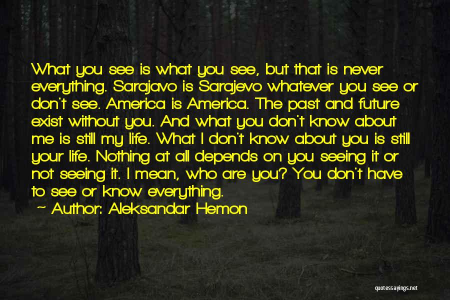 Not Everything You See Quotes By Aleksandar Hemon