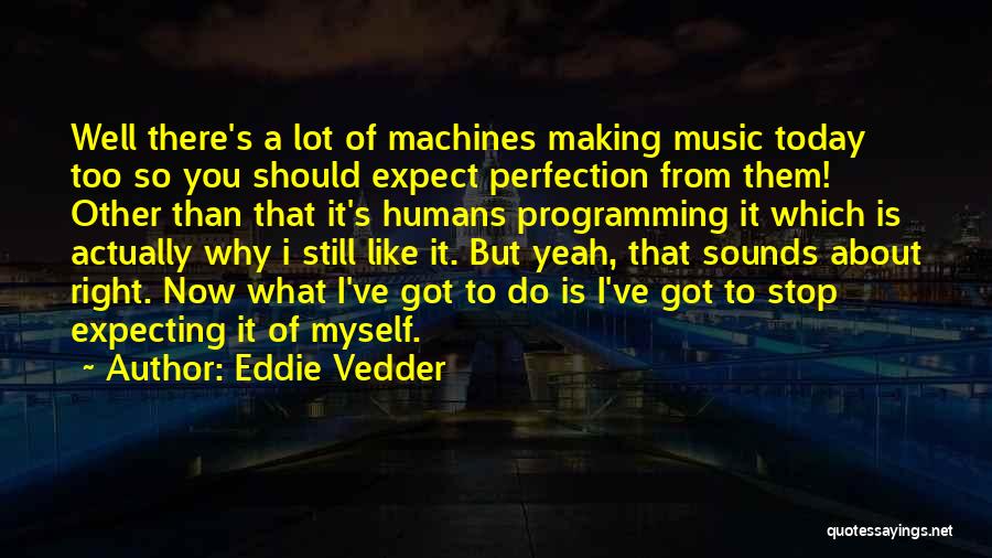 Not Expecting Perfection Quotes By Eddie Vedder