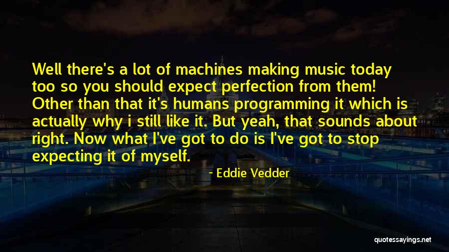 Not Expecting Perfection Quotes By Eddie Vedder