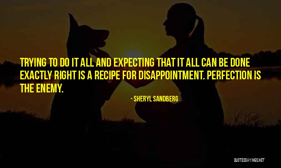 Not Expecting Perfection Quotes By Sheryl Sandberg