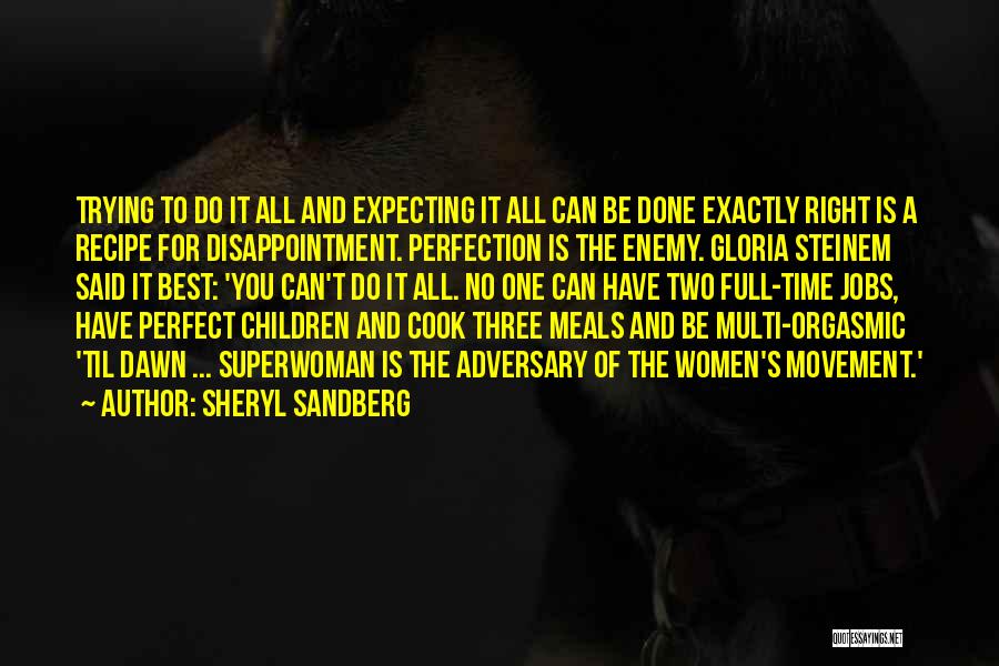 Not Expecting Perfection Quotes By Sheryl Sandberg