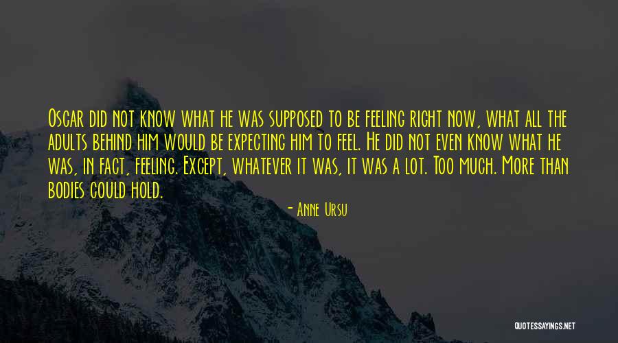 Not Expecting Quotes By Anne Ursu Not Expecting Quotes By Anne Ursu