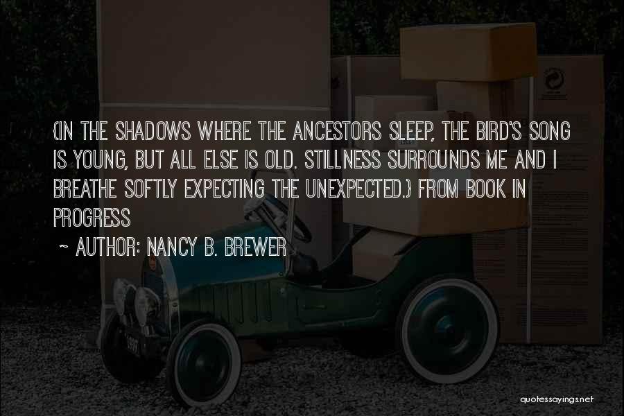 Not Expecting The Unexpected Quotes By Nancy B. Brewer