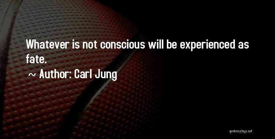Not Experienced Quotes By Carl Jung