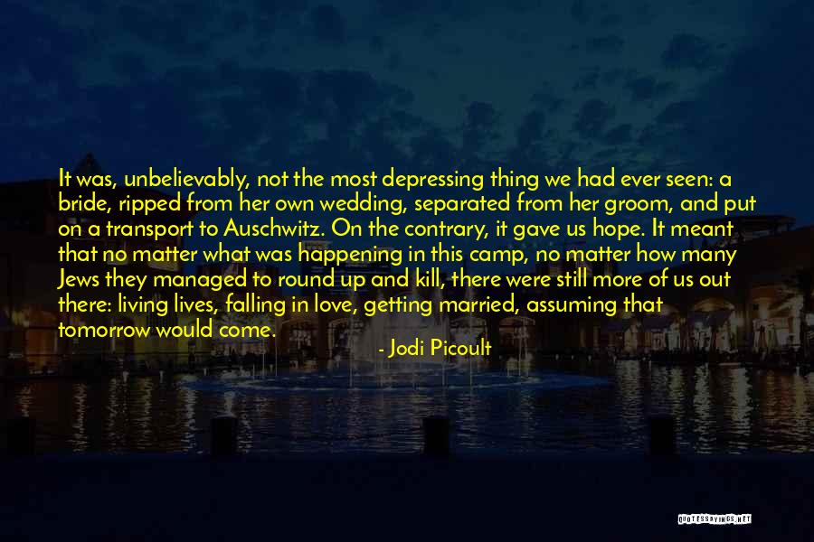 Not Falling Out Of Love Quotes By Jodi Picoult Not Falling Out Of Love Quotes By Jodi Picoult