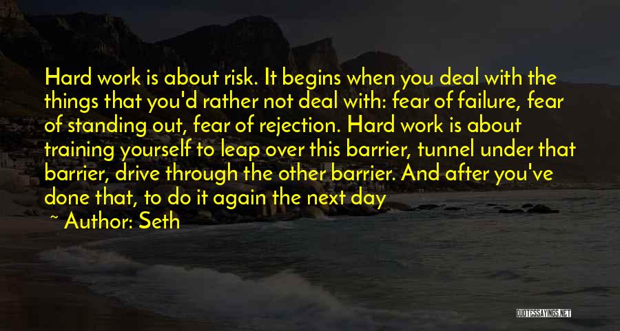 Not Fear Of Failure Quotes By Seth