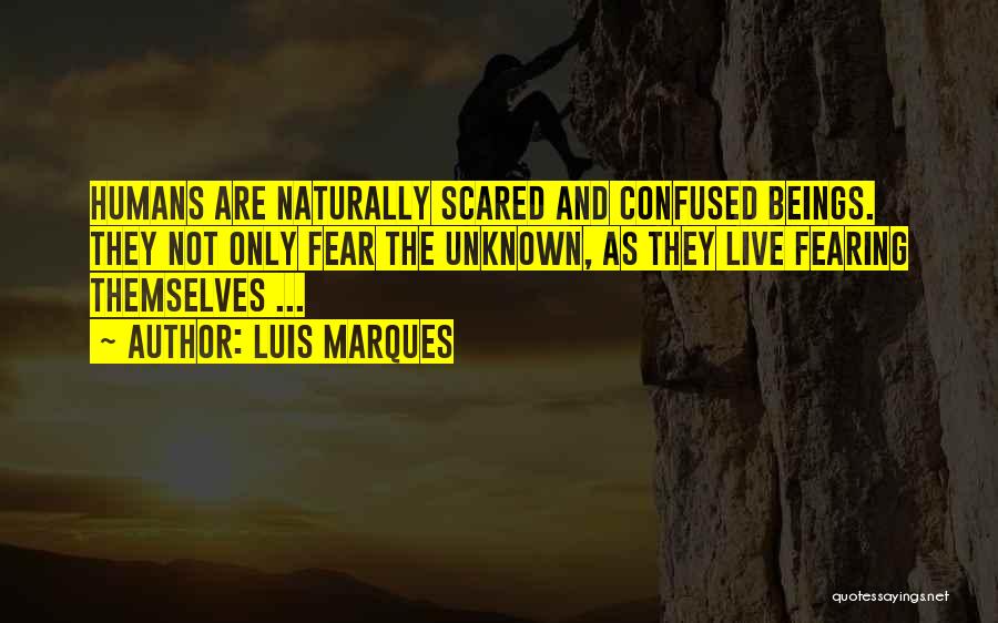 Not Fear Of The Unknown Quotes By Luis Marques