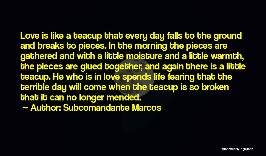 Not Fearing Love Quotes By Subcomandante Marcos