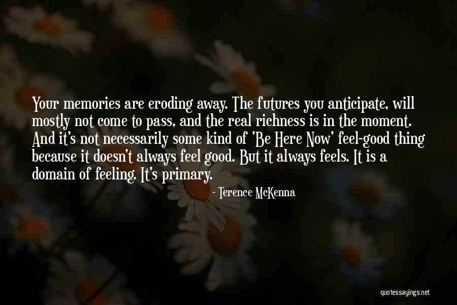 Not Feeling Good Quotes By Terence McKenna