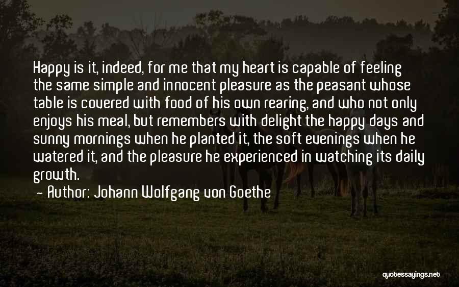 Not Feeling Happy Quotes By Johann Wolfgang Von Goethe