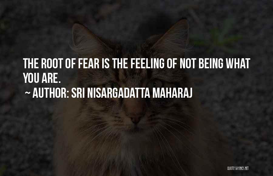 Not Feeling Quotes By Sri Nisargadatta Maharaj
