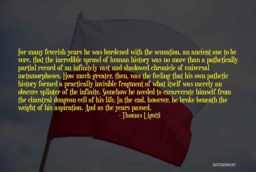 Not Feeling Worthy Quotes By Thomas Ligotti